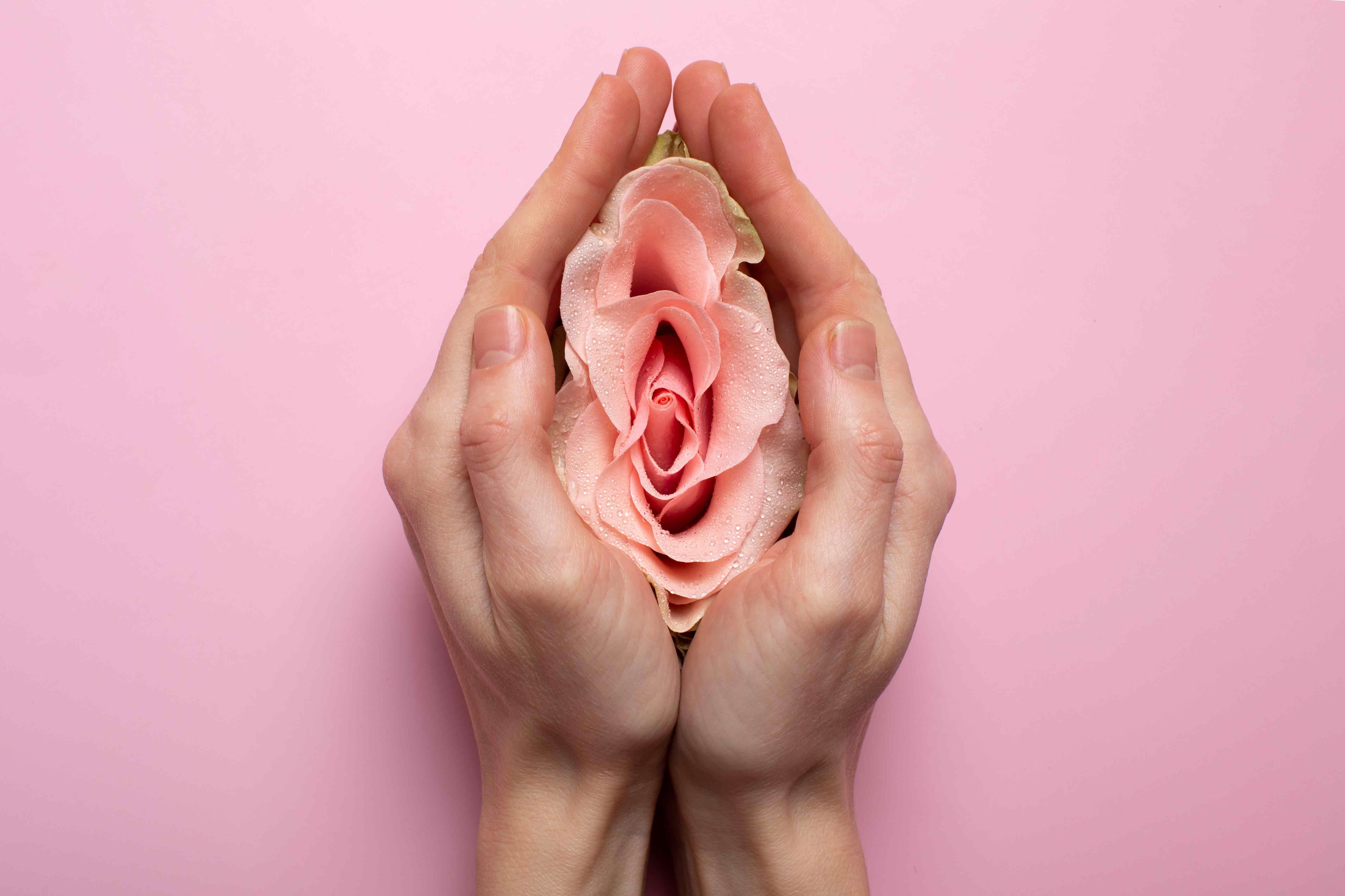 woman-holding-rose-hands-reproductive-system-visualizationbaja.jpg